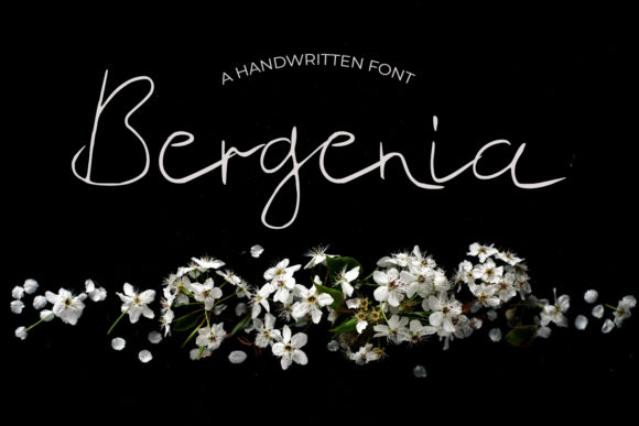 Bergenia: A Script Font with Personality and Purpose