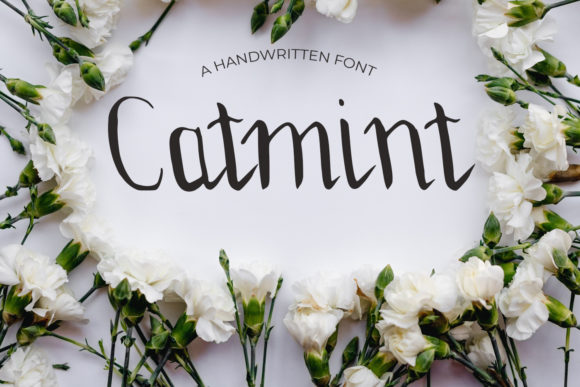 Catmint Font: A Marketer’s Secret Weapon for Stronger Campaigns